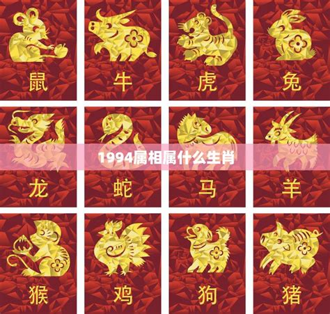 1994年屬什麼生肖|1994是民國幾年？1994是什麼生肖？1994幾歲？